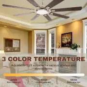 Flyfox 63" Ceiling Fan w/ Lights & Remote - Reversible DC Motor, multicolor New