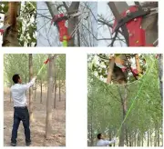 New 26 Foot Length Tree Pole Pruner Tree Saw Garden Tools Loppers Shipped USA