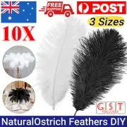 10pcs Black White Ostrich Feathers DIY Crafts Feathers Wedding Party Decoration