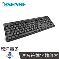 在飛比找蝦皮商城優惠-ESENSE 3650 USB大字體標準鍵盤 (13-EKS