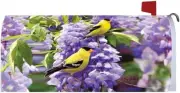 Goldfinch Wisteria Flower Magnetic Mailbox Cover