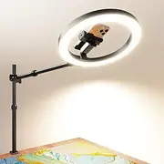 Ring Light Overhead Phone Camera Mount for Desk Tripod - 10" Ring Light with Stand - Solid Selfie Ringlight with Clamp for Artist Drawing, Video Recording, Live Streaming, Content Creator
