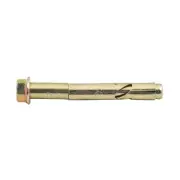 Ramset 12 x 100mm DynaBolt Plus Hex Nut Bolt