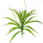1PC leaf arrangement Artificial Cymbidium Orchid Leaf Flower Plant Fake