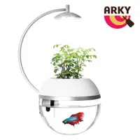 在飛比找ETMall東森購物網優惠-ARKY 香草與魚HerbFish®Ｘ