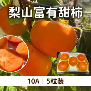灰灰果園 梨山富有甜柿10A 5粒裝