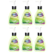 6PK Northfork 250ml Hygienic Cleaning Liquid Hand Wash Aloe Chamomile Hygiene