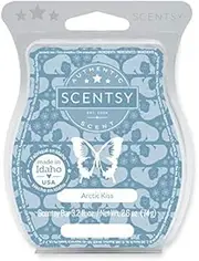 [Scentsy] Arctic Kiss Bar