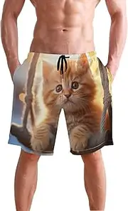 [XYMZR] Kitten Swing Sunlight Men's Swim Trunks Quick-Dry Bathing Suit Swimming Board Shorts S