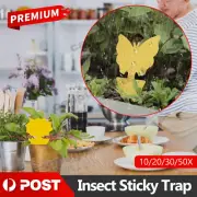 10-50X Pack Sticky Fruit Fly Gnat Bug Trap Killer Non-Toxic Traps Protect Plant