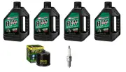 Oil Change Kit for Suzuki Eiger LTA400 Lt 400 Tune Up Service Kit NGK Spark Plug