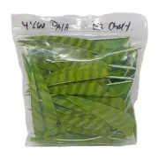 100 Pack Archery Arrow Feathers 4" Left Wing: Parabolic Barred Chartreuse Green