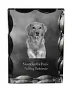 Nova Scotia Duck Tolling Retriever crystal frame with a dog Art-Dog