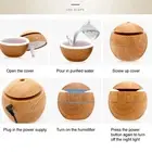 Round Ball Shape USB Plug In Diffuser Humidifier Air Purifier