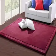 Living Room Home Decor Coral Fleece Area Rug,Modern Nursery Washable Kids Bedroom Rug,Girls Boys Soft Non-Slip Soft Mat,2cm Thick Kids Carpet-A- 100 * 220cm
