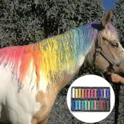 6/12/24/36 Color Non-toxic Horse Hair Chalk Temporary Dye Colour Styling Kit