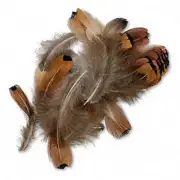 Feathers Pheasant Jewelry & Hair Extension 2-4" Natural about 25