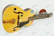 CUSTOM MOHAN VEENA GREAT SIDE WEISSENBORN STYLE MAX STRING PRESSURE