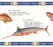 BASS FLOUNDER MULLET WALLPAPER BORDER WD94350