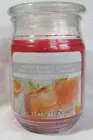 Ashland Scented Candle 17 oz Large Jar Single Wick BLOOD ORANGE SPRITZER summer