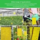 Sticky Traps for Bugs - 20pcs Yellow Double Side Sticky Traps for Gnat Fruit Fly