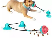 Pet Dog Squeaky Toy Rope Dispensing Ball With Suction Cup Toothbrush