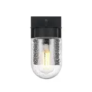Elegant Lighting Rafael 1Lt 5" Outdoor Sconce, Black/Clear/Seed - OD414W8BK