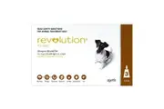 Revolution Dog Small Brown