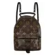 Louis Vuitton LV M44873 Palm Springs Mini 經典老花斜背後背包