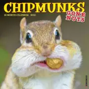 Willow Creek Press, Chipmunks Gone Nuts 2025 Wall Calendar