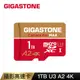 GIGASTONE 立達 Camera Pro MAX microSDXC UHS-Ⅰ U3 1TB攝影高速記憶卡(1T A2 4K)