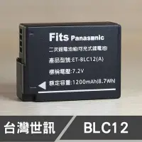 在飛比找Yahoo!奇摩拍賣優惠-【現貨】DMW-BLC12 台灣世訊 副廠 鋰 電池 適用 