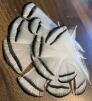 Natural Black White Pheasant 9-10cm Feathers DIY Art Craft 10pcs Fly Tying Cake