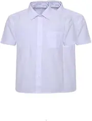 [MOLLY MALOU] Set of 2 Boys Children Kids School Shirt Back to School Uniform Short Sleeves Shirts in White and Blue Colors 2-18 Years