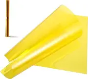 LOORGVEL Photo Correction Film for Flash Light Correction Sheets Correction Gel Filters