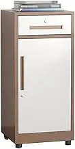 Vertical File Cabinet with Lock 1 Drawer and 1 Door Storage Cabinet Home Office Locking File Cabinet