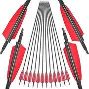 ZSHJGJR 31 Inch Archery Carbon Arrows Spine 500 Hunting Arrows with Removable Tips 4" Natural Feather Fletching Targeting Arrows for Compound & Recurve & Traditional Bow 6/12pcs