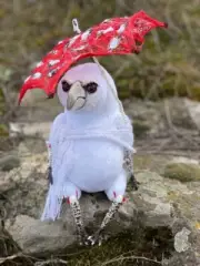 Handmade White Crow doll Amanita Crow figure Halloween witch albino raven toy