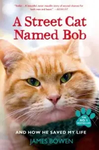 在飛比找博客來優惠-A Street Cat Named Bob and How