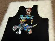 Toronto Raptors Tracy McGrady Mitchell & Ness Iridescent Men's Size XL Jersey