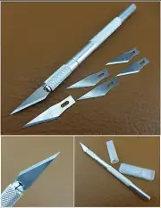 6PC Blades Wood Carving Tools Fruit Food Craft Sculpture Engraving Knife Scalpel