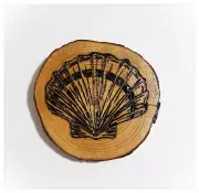 Handmade Sea Shell Wood Burning On Wood Slice Pyrography Wall Decor
