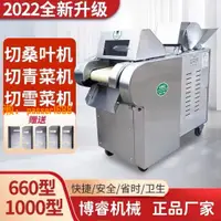 在飛比找樂天市場購物網優惠-【可開發票】銅芯機660#1000#型多功能切菜機切芥菜切桑