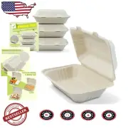 Durable 9x6x3 Clamshell Containers - 125 Pack of Eco-Friendly Take-Out Solutions