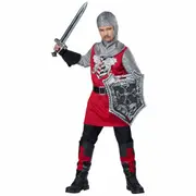 Brave Knight Medieval Renaissance Warrior Noble Book Week Boys Costume