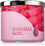 Bath & Body Works Raspberry Rose Scented Candle 411g