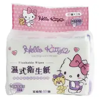 在飛比找樂天市場購物網優惠-小禮堂 Hello Kitty 40抽濕式衛生紙包組 濕式面