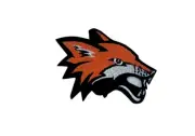 Embroidery patch sew badge iron on glue transfer fox head foxhead