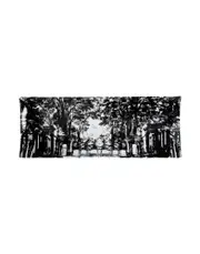 [FORNASETTI] FORNASETTI Trays and serving plates - Item 58069065
