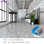 ☼五月促銷店 加厚地墊臥室地毯大面積全鋪家用客廳防水防滑水泥地塑膠地毯整鋪